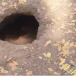 *درگاپور میں اچانک زمین دھنسنے سے سنسنی، مرکزی سڑک خطرے میں*