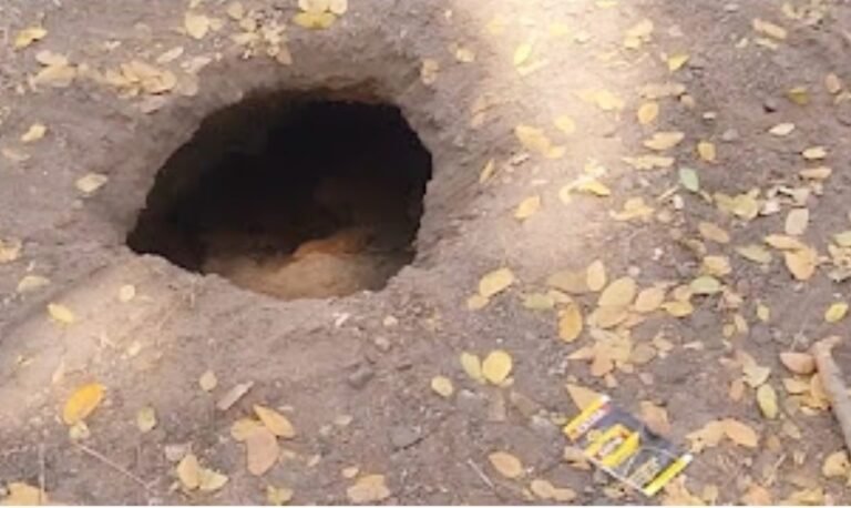 *درگاپور میں اچانک زمین دھنسنے سے سنسنی، مرکزی سڑک خطرے میں*