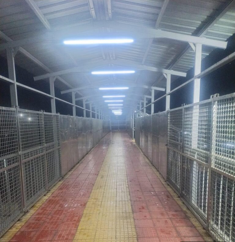 *आसनसोल मंडल ने यात्रियों की सुरक्षा और सुविधा बढ़ाने के लिए राजबंध स्टेशन पर प्रकाश व्यवस्था में सुधार किया*