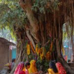 वट सावित्री व्रत : वैज्ञानिक चेतना एवं पर्यावरण संरक्षण का सनातन पर्व