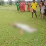 अपने ही पालतू कुत्ते के हमले में मालिक की मौत,  = सिदपुर गांव में मातम का साया।