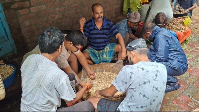 झारखंड का ‘रुगड़ा’ छाया आसनसोल के बाजार में, 1200 रुपये किलो बिक रही जंगली मशरूम की सब्जी  चिकन-मटन को स्वाद में दे रही टक्कर, सावन में शाकाहारी लोगों की पहली पसंद बना रुगड़ा, खरीदने के लिए बाजारों में उमड़ रही भीड़