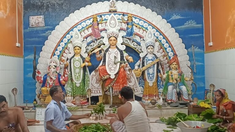 मनासा पूजा का जश्न धूमधाम से मनाया गया