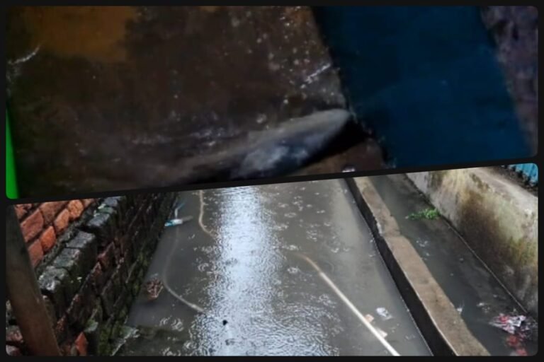 बराकर में हल्की बारिश ने खोली सफाई व्यवस्था की पोल, नाली का गंदा पानी सड़कों पर